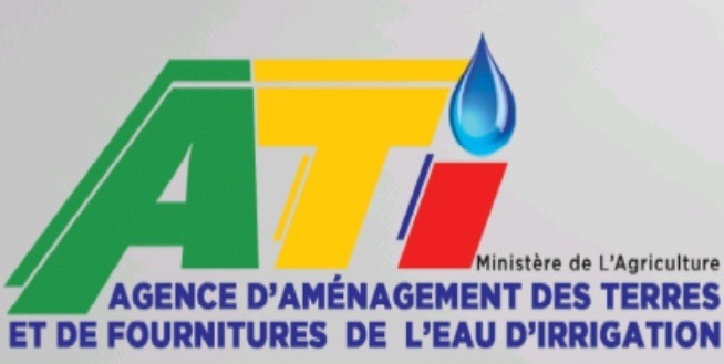 WhatsApp Image 2026-01-06 at 11.31.42